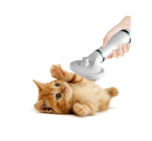 Pet Comb Hair Dryer