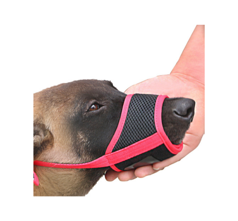 Dog Mouth Cover