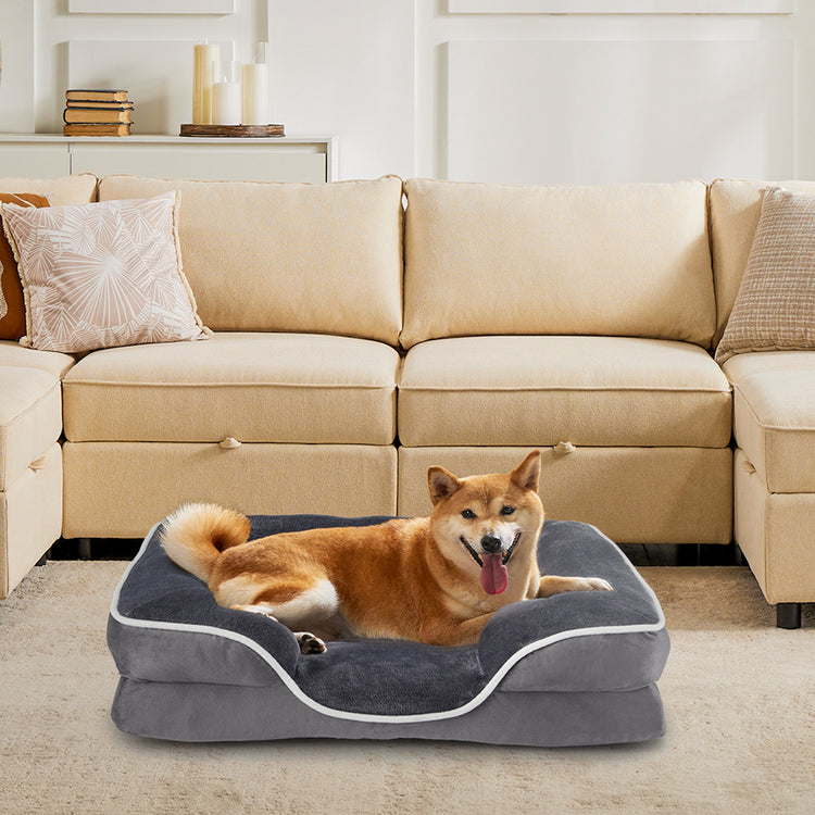 Foam Pet Bed