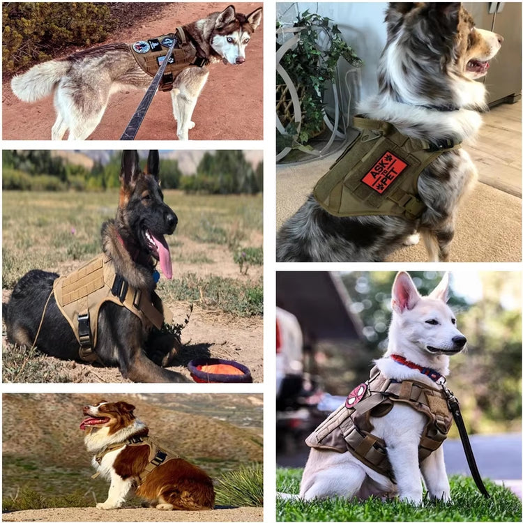 Camouflage Dog Harness