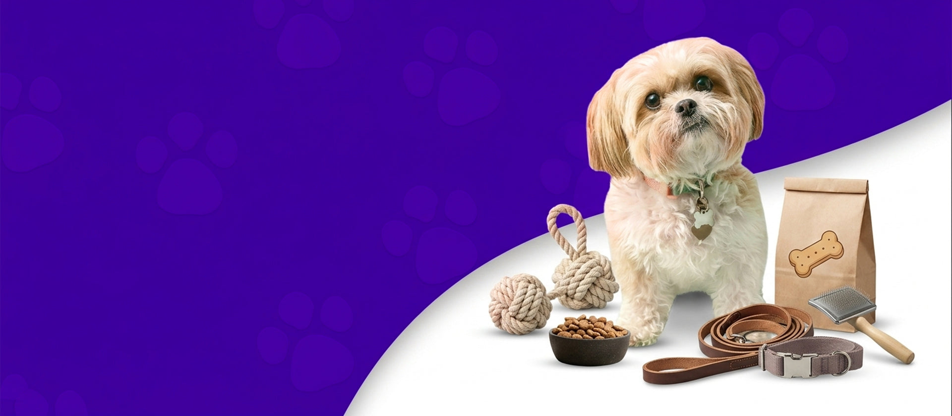 Perfect Picks for Your Pets